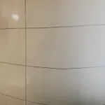 أغاس