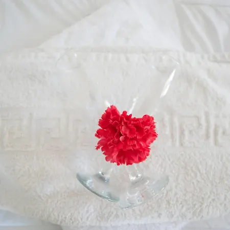 阿伽斯别墅酒店 3* 卡特瑞杜斯